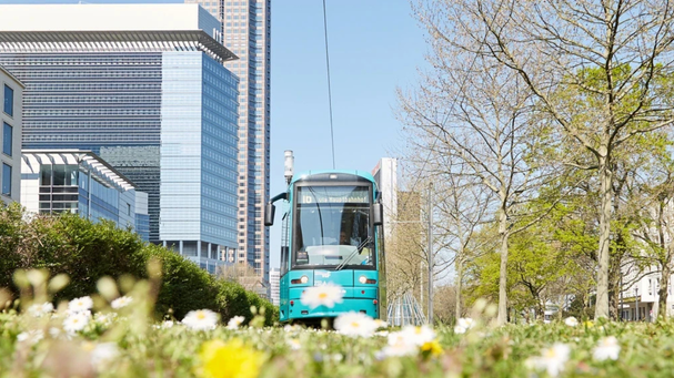Straßenbahn VGF in der City mit Wiese und grünen Bäumen