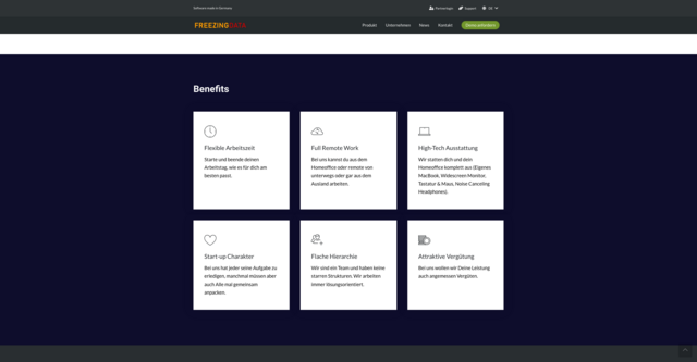 Screenshot der Website Freezingdata