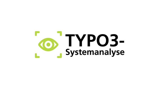 Logo: TYPO3-Systemanalyse
