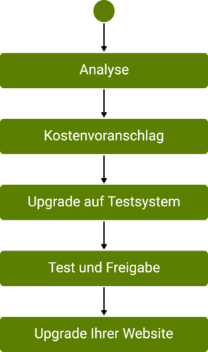 Ihr TYPO3-Upgrade in nur fünf Schritten Grafik zum TYPO3-Upgrade