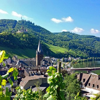 Teaser: Landesregierung Rheinland-Pfalz